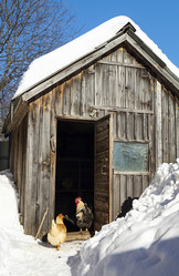 Similar image 21218807