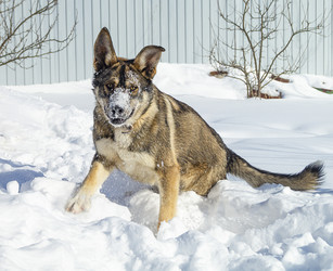 Similar image 21218817