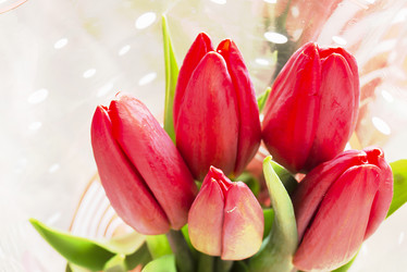 Similar image 21218824