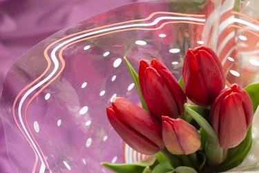 Similar image 21218826