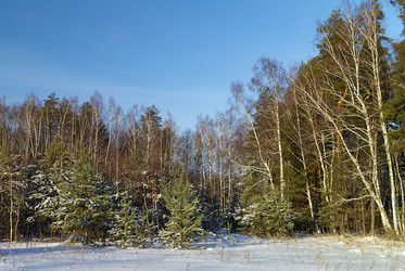 Similar image 21218829