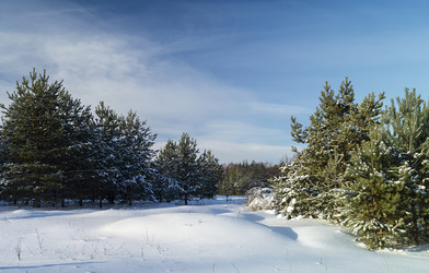 Similar image 21218834