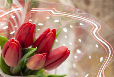 Similar image 21218835