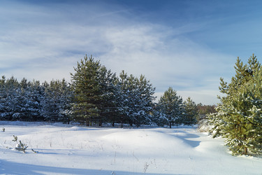 Similar image 21218838