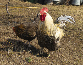 Similar image 21218850