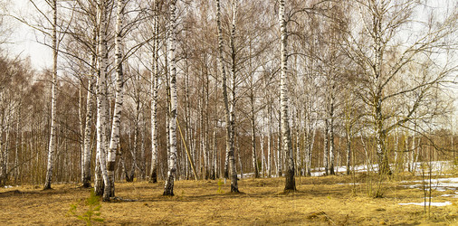 Similar image 21219180