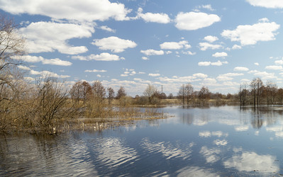 Similar image 21219190