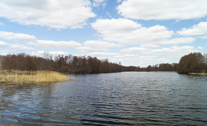 Similar image 21205808