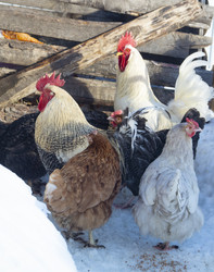 Similar image 21205809