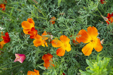 Similar image 21205810