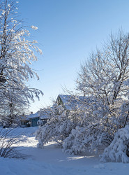 Similar image 21205819