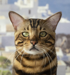 Similar image 21205820