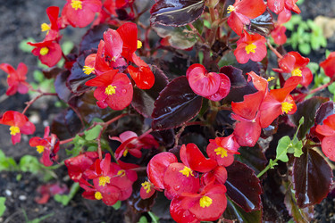 Similar image 21218861