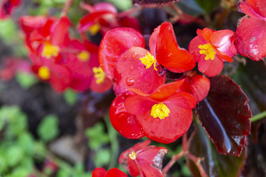 Similar image 21218863