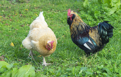 Similar image 21218869