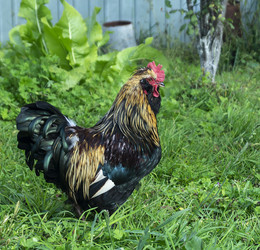 Similar image 21218874