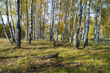 Similar image 21218882