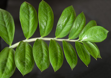 Similar image 21218885