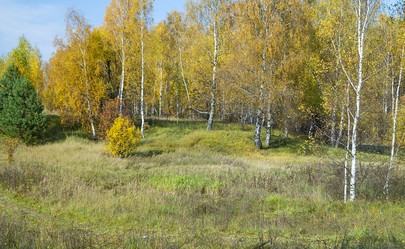 Similar image 21218886