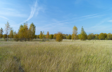 Similar image 21219072