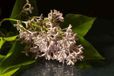 Similar image 21219078