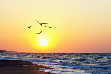 Similar image 21209315