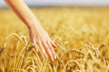 Similar image 21209317