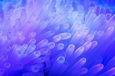 Similar image 21209322