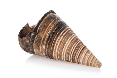 Similar image 21209325