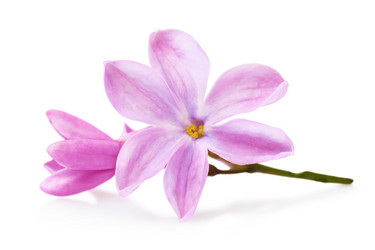 Similar image 21209773