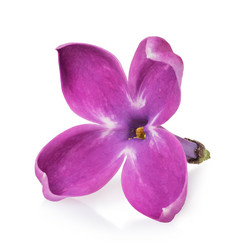 Similar image 21209777