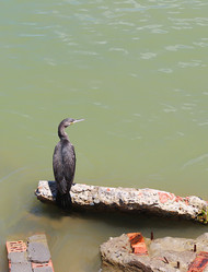 Similar image 21218895