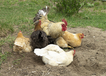 Similar image 21218897