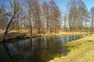 Similar image 21219085