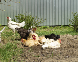 Similar image 21219087