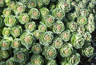 Similar image 21219089