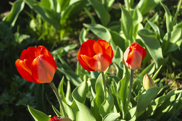 Similar image 21219091