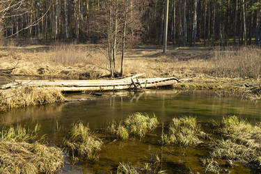 Similar image 21219092