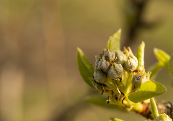 Similar image 21219201