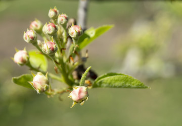 Similar image 21219202