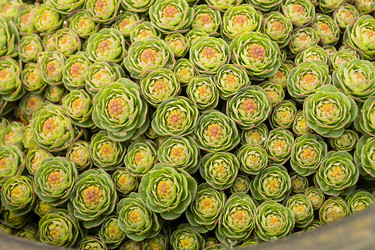 Similar image 21219203