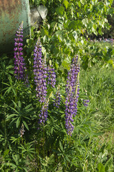 Similar image 21219206