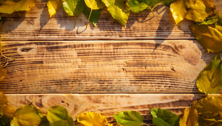 Similar image 21246854