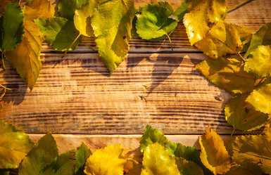 Similar image 21238458