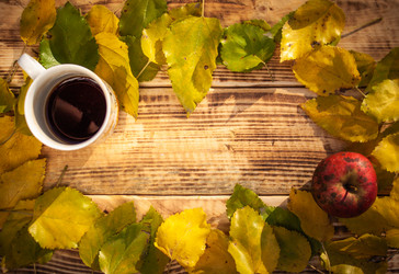 Similar image 21238460