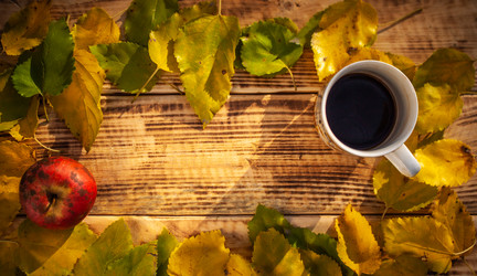 Similar image 21238462