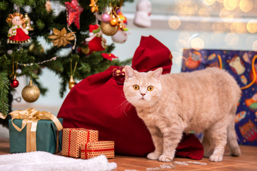 Similar image 21208000