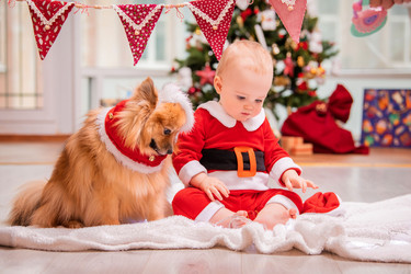 Similar image 21208006