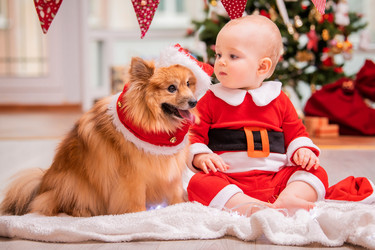 Similar image 21208008