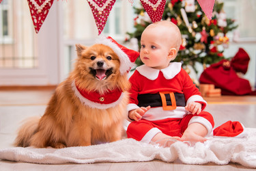 Similar image 21208010